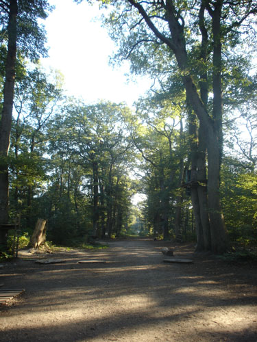 05 Le site