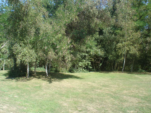 Le site 4