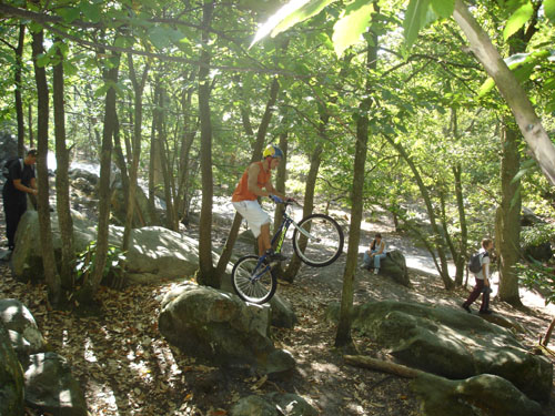 VTT Trial 2
