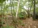 Le site 2