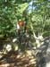 VTT Trial 3