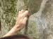 Prise manuelle 1